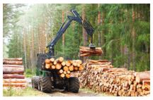 Đề thi giữa học kì 1 Công nghệ 12 Cánh diều