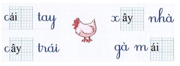 Đề thi giữa kì 1 môn Tiếng Việt lớp 1 Kết nối tri thức