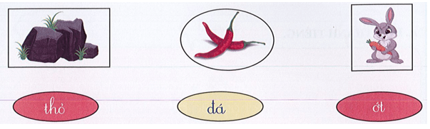 Đề thi Tiếng Việt lớp 1 Giữa kì 1 năm 2022 có đáp án (10 đề)