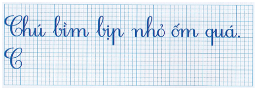 Đề thi Tiếng Việt lớp 1 Giữa kì 1 năm 2022 có đáp án (10 đề)