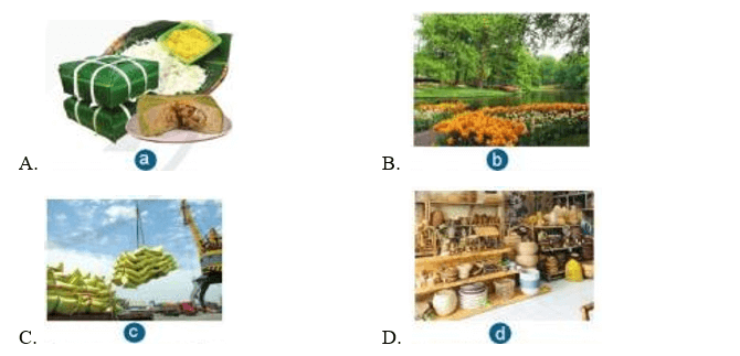 ĐỀ THI GIỮA HỌC KÌ 1 MÔN: CÔNG NGHỆ 7 – CÁNH DIỀUI. Trắc nghiệm (6 điểm) Câu 1. Đặc điểm của nghề trồng trọt làA. Cải tiến và phát triển các giống cây trồng mới năng suất cao, chất lượng tốt.B. Tham gia sản xuất và quản lí các cây trồng khác nhau.C. Đưa ra dự báo về sâu bệnh và các biện pháp phòng trừ.D. Đưa ra hướng dẫn kĩ thuật giúp người sản xuất tăng năng suất, chất lượng cây trồng.Câu 2. Hình ảnh nào sau đây thể hiện vai trò của trồng trọt là cung cấp lương thực, thực phẩm?Câu 3. Có mấy cách phân loại cây trồng?A. 1                      B. 2                       C. 3                       D. 4Câu 4. Theo mục đích sử dụng, người ta phân cây trồng thành mấy nhóm?A. 1                      B. 2                       C. 3                       D. 4Câu 5. Việt Nam có nhiều triển vọng phát triển các vùng chuyên canh tập trung cho các loại cây trồng chủ lực vìA. Có điều kiện tự nhiên đa dạng.         B. Áp dụng các phương thức tiên tiến.C. Sử dụng công nghệ cao.                            D. Nông dân sáng tạo, ham học hỏi.Câu 6. Đâu không phải là phương thức, công nghệ trồng trọt tiên tiến?A. Nông nghiệp công nghệ cao.            B. Nông nghiệp hữu cơ.C. Nông nghiệp an toàn.                      D. Nông nghiệp tự cấp tự túc.Câu 7. Trồng trọt công nghệ cao yêu cầu người quản lí và người sản xuất phải có yếu tố nào?A. Có kiễn thức, trình độ chuyên môn giỏi.B. Có khả năng lai tạo giống cây trồng kháng bệnh.C. Có thể dự đoán được hàm lượng chất dinh dưỡng có trong sản phầm trồng trọt.D. Yêu thích trồng cây.Câu 8. Đâu không phải ngành nghề trong trồng trọt?A. Nghề chọn tạo giống cây trồng.                 B. Nghề trồng trọt.C. Nghề bảo vệ thực vật.                               D. Nghề bảo vệ hạt giống.Câu 9. Mục đích của biện pháp làm đất làA. Cung cấp nước kịp thời cho cây sinh trưởng và phát triển tốt.B. Cung cấp chất dinh dưỡng cho cây con ngay khi mới mọc hoặc mới bén rễ.C. Làm cho đất tơi xốp, tăng khả năng giữ nước, chất dinh dưỡng, đồng thời diệt cỏ dại và mầm sống sâu bệnh, tạo điều kiện cho cây sinh trưởng, phát triển tốt.D. Ngăn ngừa tác hại của sâu bệnh, bảo vệ mùa màng.Câu 10. Bón phân cho cây ngô (bắp) thường sử dụng hình thức bón nào?A. Bón theo hốc.                                          B. Bón theo hàng.C. Bón vãi.                                                   D. Phun lên lá.Câu 11. Đâu là thời gian của vụ xuân hè?A. Tháng 6 – tháng 11.                                 B. Tháng 6 – tháng 9.C. Tháng 10 – tháng 1 năm sau.                     D. Tháng 2 – tháng 5.Câu 12. Đâu không phải cách tiến hành thu hoạch cây trồng đảm bảo được số lượng và chất lượng nông sản?A. Thu hoạch lúc đúng độ chín.           B. Nhanh gọn.C. Cẩn thận.                                       D. Thu hoạch ngay sau cơn mưa.Câu 13. Các loại cây trồng như lúa, hoa, súp lơ được thu hoạch bằng phương pháp nào?A. Hái          .                  B. Cắt.                  C. Đào.                  D. Nhổ.Câu 14. Mô tả nào là đúng về phuong pháp tưới thấm?A. Từ vòi phun nước tỏa thành hạt nhỏ như mưa.B. Nước tưới chảy tràn mặt đất.C. Nước tưới qua các lỗ nhỏ thấm vào gốc cây.D. Nước được dẫn vào rãnh và thấm dần vào luống.Câu 15. Ý nào sau đây mô tả đúng biện pháp canh tác?A. Sử dụng thuốc bảo vệ thực vật hóa học như thuốc trừ sâu, thuốc trừ bệnh, … để tiêu diệt sâu bệnh.B. Sử dụng các loài sinh vật hay sản phẩm hoạt động của chúng (bọ rùa, ong mắt đỏ, vi khuẩn Bt, chế phẩm thảo mộc, …) để phòng trừ sâu bệnh.C. Vệ sinh đồng ruộng, làm đất, sử dụng giống chống chịu sâu bệnh, luân canh, xen canh, … để ngăn ngừa và giảm thiệt hại do các loài sâu bệnh gây ra.D. Bẫy bả, bắt bằng tay, bao quả, che lưới,...Câu 16. Phương thức gieo trồng bằng hạt có thể áp dụng với nhóm cây nào?A. Lúa, ngô, rau,...                              B. Khoai tây, mía, sắn,...C. Bưởi, nhãn, cà phê, chè,...               D. Tất cả các nhóm cây trồng.Câu 17. Sản xuất giống cây trồng bằng nhân giống vô tính thường được áp dụng cho các loại cây nào?A. Cây ăn quả.                                    B. Cây ngũ cốc.C. Cây họ đậu.                                    D. Cây họ cải.Câu 18. Mô tả nào phù hợp với phương pháp nhân giống nuôi cấy mô?A. Cắt một đoạn cành, cắm xuống đất để tạo cây mới.B. Tách vỏ một đoạn cành trên cây đang sống, dùng đất bó lại để hình thành rễ và tách đem trồng.C. Ghép mắt hoặc cành của cây mang những đặc tính mong muốn vào một cây khác để tạo thành một cây mới.D. Tách lấy mô của cây, nuôi cấy trong môi trường đặc biệt để tạo cây con.Câu 19. Thứ tự các bước của quy trình giâm cành làA. Xử lí cành giâm → Cắt cành → Cắm cành → Chăm sóc cành giâm.B. Cắt cành → Xử lí cành giâm → Cắm cành → Chăm sóc cành giâm.C. Cắt cành → Cắm cành → Xử lí cành giâm→ Chăm sóc cành giâm.D. Xử lí cành giâm → Cắm cành → Cắt cành → Chăm sóc cành giâm.Câu 20. Cây tạo ra bằng phương pháp giâm cành không có ưu điểm gì so với cây được nhân giống từ hạt?A. Nhân nhanh giống cây trồng.B. Giữ nguyên được tính trạng tốt mong muốn.C. Thời gian cho thu hoạch sản phẩm ngắn vì cây từ cành giâm sớm ra hoa.D. Có thể chống lại tất cả các loại sâu, bệnh gây hại cho cây trồng.Câu 21. Đặc điểm của các loại cây được chọn để nhân giống bằng phương pháp giâm cành là gì?A. Cây có khả năng ra quả nhanh.        B. Cây có khả năng ra hoa nhanh.C. Cây có khả năng ra rễ phụ nhanh.D. Cây dễ trồng, mau lớn.Câu 22. Tiêu chuẩn chọn cành giâm làA. Cành non, khỏe mạnh; không bị sâu, bệnh.B. Cành già, khỏe mạnh; không bị sâu, bệnh.C. Cành bánh tẻ, khỏe mạnh; không bị sâu, bệnh.D. Cành non hoặc bánh tẻ, khỏe mạnh; không bị sâu, bệnh.Câu 23. Đâu là phương pháp nhân giống cây trồng?A. Nhân giống hữu tính và nhân giống vô tính.B. Nhân giống đơn tính.C. Xen canh.D. Thủy canh.Câu 24. Nhóm cây nào dưới đây dễ nhân giống bằng phương pháp giâm cành?A. Cây mía, cây cam, cây ổi.                B. Cây mía, cây sắn, cây rau ngót.C. Cây rau mồng tơi, cây bắp, cây đậu.D. Cây bạc hà, cây mía, cây bắp.II. Tự luậnCâu 1 (2 điểm). Việt Nam có những triển vọng nào trong trồng trọt?Câu 2 (2 điểm). Hãy cho biết thời gian và mục đích của việc bón lót.ĐÁP ÁN ĐỀ THI GIỮA HỌC KÌ 1