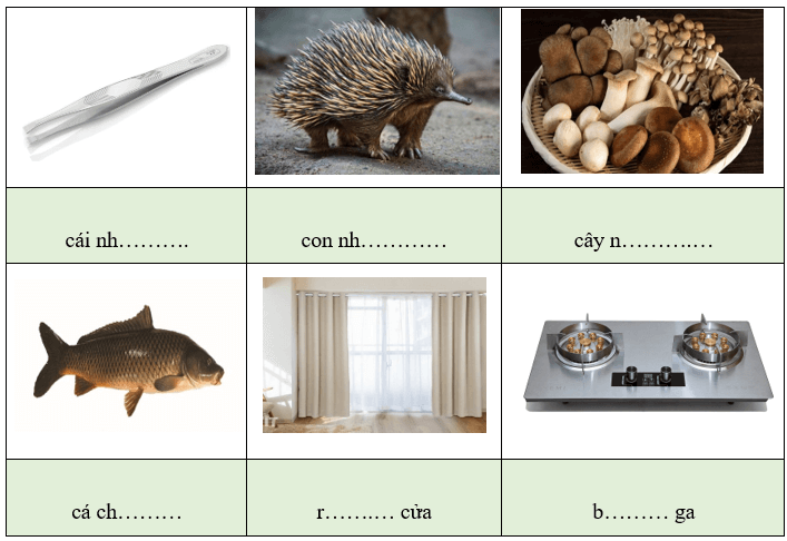 Bài tập cuối tuần Tiếng Việt lớp 1 Tuần 8 Cánh diều (có đáp án) | Đề kiểm tra cuối tuần Tiếng Việt lớp 1