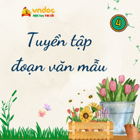 TOP 8 Viết đoạn văn nói về những việc em thường làm hằng ngày ở nhà hoặc ở trường lớp 4