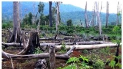 Đề thi Khoa học lớp 5 cuối kì 1 Cánh Diều