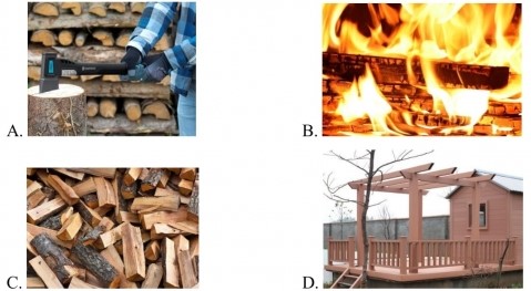 Đề thi học kì 1 môn Khoa học lớp 5 Cánh Diều