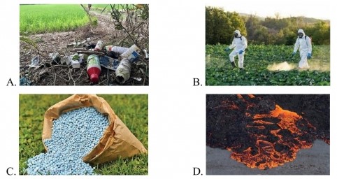 Đề thi Học kì 1 môn Khoa học lớp 5 Chân trời sáng tạo