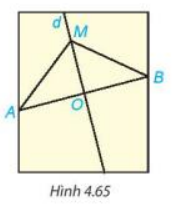 Hoạt động 4 trang 82 Toán 7 tập 1 SGK Kết nối tri thức với cuộc sống