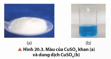 Giải Hóa 12 trang 117 Chân trời