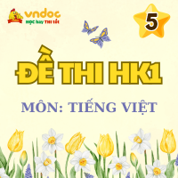 Đề thi học kì 1 Tiếng Việt lớp 5 Kết nối tri thức theo Thông tư 27 - Đề 1