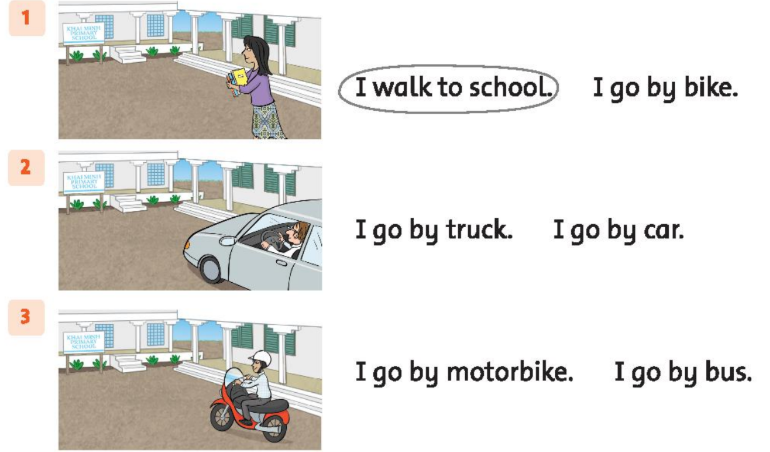 SBT tiếng Anh 2 unit 4 I go to school by bus lesson 2