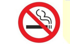 Đề thi học kì 1 tiếng Anh 6 Global success số 8