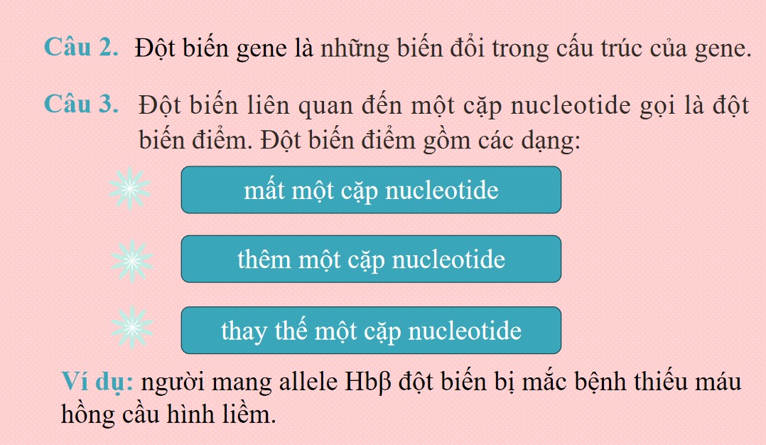 PowerPoint Khoa học tự nhiên 9 KNTT Bài 41