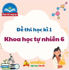 Đề thi học kì 1 Khoa học tự nhiên lớp 6 sách Chân trời sáng tạo - Đề 1