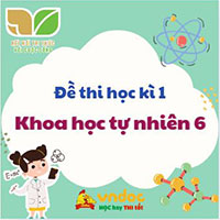 Đề thi học kì 1 Khoa học tự nhiên 6 Kết nối tri thức - Đề 1