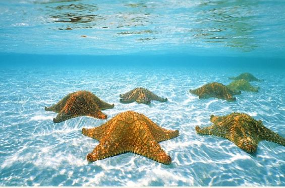 Bài dự thi viết thư UPU lần thứ 54