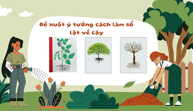 PowerPoint STEM Các bộ phận của thực vật