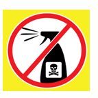 Đề thi học kì 1 tiếng Anh 8 Friends plus - Đề số 2