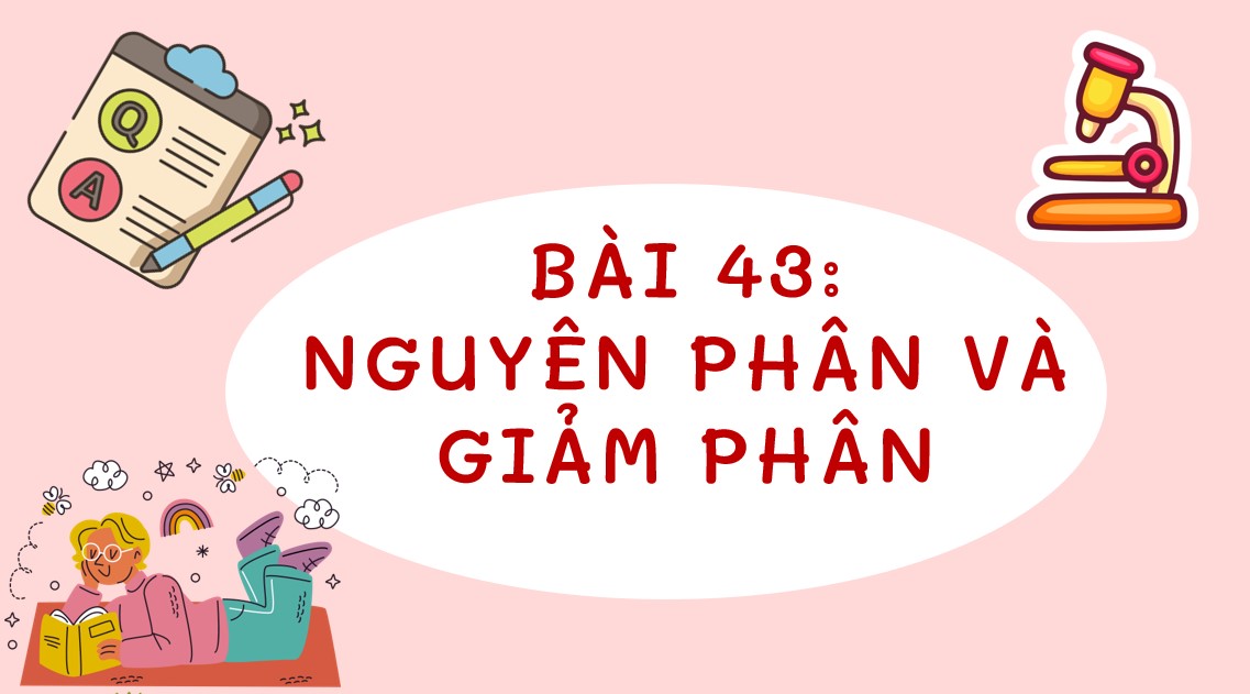 PowerPoint Khoa học tự nhiên 9 KNTT Bài 43