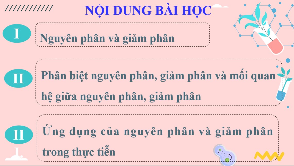 PowerPoint Khoa học tự nhiên 9 KNTT Bài 43