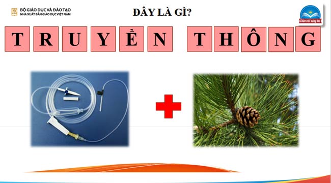 Giáo án PowerPoint HĐTN 9 Chủ đề 6