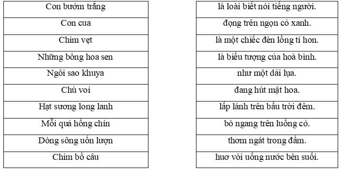 Đề luyện thi Trạng nguyên tiếng Việt lớp 3 Vòng 6