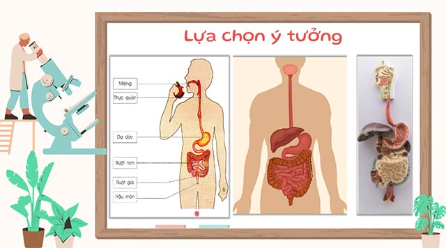 PowerPoint STEM Làm mô hình cơ quan tiêu hóa