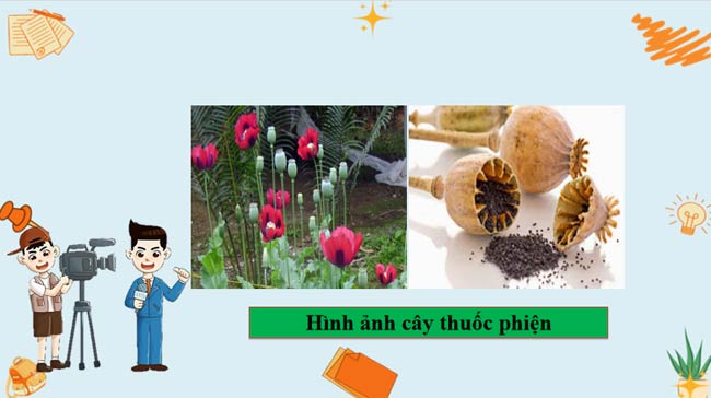 Giáo án PowerPoint Lịch sử 8 bài 14