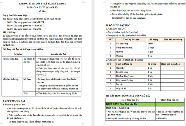 Giáo án STEM Mô hình cây