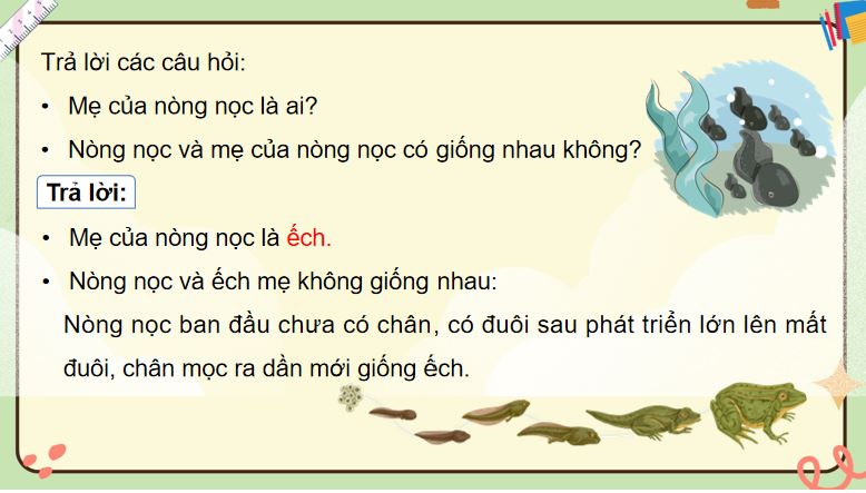 PowerPoint Khoa học 5 Bài 16