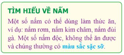 Đề thi Học kì 1 Tin học lớp 5 Cánh diều