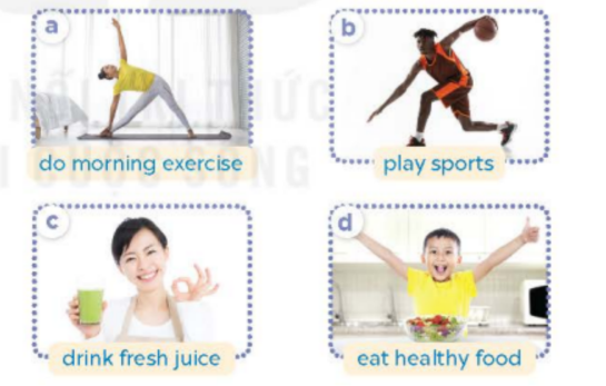 Tiếng Anh lớp 5 Unit 14 lesson 1 trang 24, 25 Global Success