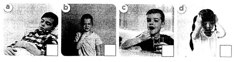 Sách bài tập tiếng Anh lớp 5 unit 15 Global success