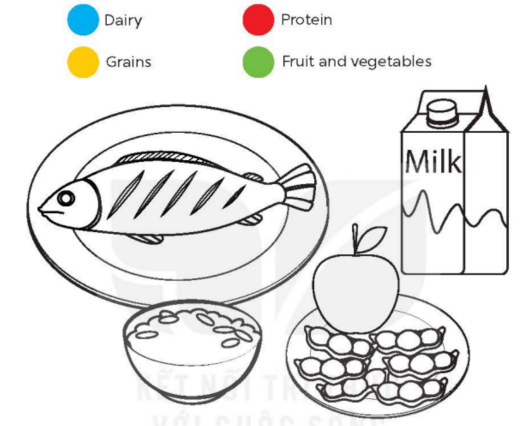 Tiếng Anh 5 Global Success Extension activities trang 38, 39