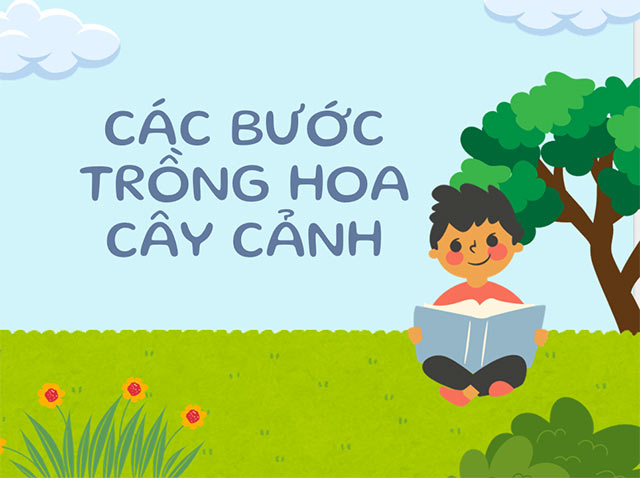 PowerPoint STEM Chậu cây thân thiện với môi trường