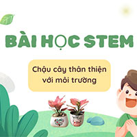 Giáo án STEM lớp 4: Chậu cây thân thiện với môi trường