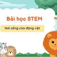 Giáo án STEM lớp 2: Nơi sống của động vật