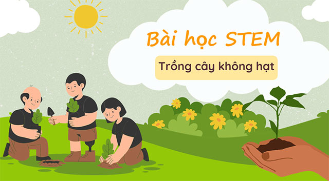 PowerPoint STEM Trồng cây không hạt