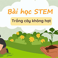 Giáo án STEM lớp 5: Trồng cây không hạt