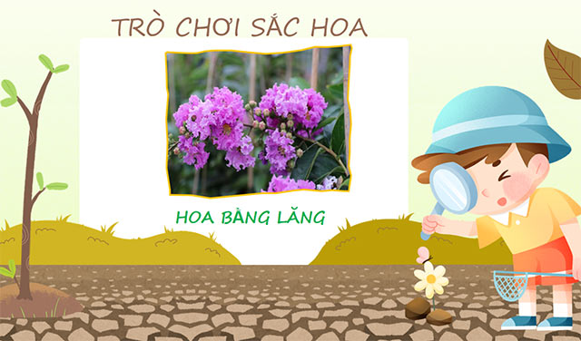 PowerPoint STEM Trồng cây không hạt