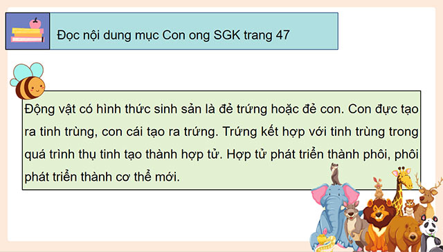 PowerPoint Khoa học 5 Sự sinh sản ở động vật đẻ trứng và động vật đẻ con