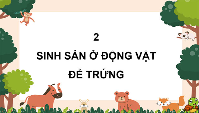 PowerPoint Khoa học 5 Sự sinh sản ở động vật đẻ trứng và động vật đẻ con