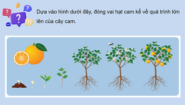 PowerPoint Khoa học 5 Ôn tập chủ đề Thực vật và động vật