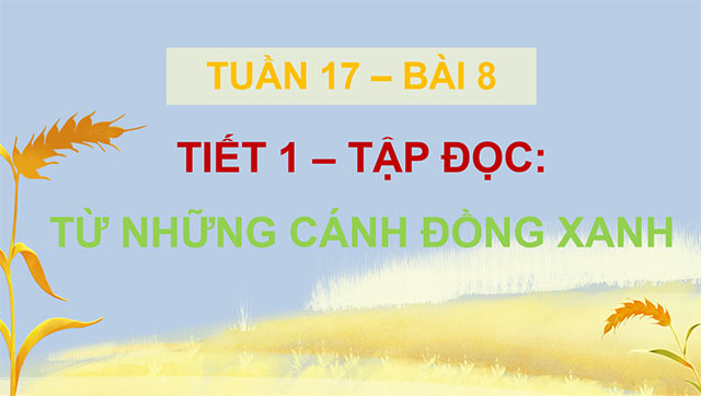 PowerPoint Tiếng Việt 5 Từ những cánh đồng xanh