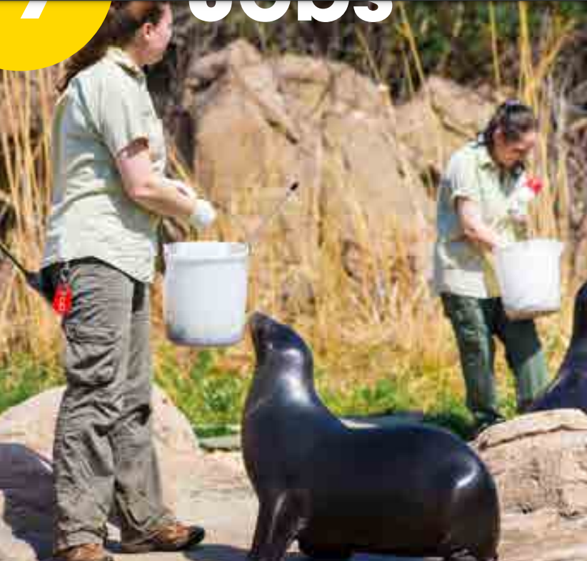 Tiếng Anh 4 Wonderful world Unit 7 lesson 1