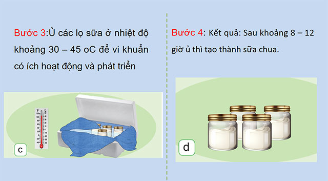 PowerPoint Khoa học 5 Vi khuẩn có ích trong chế biến thực phẩm