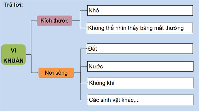 PowerPoint Khoa học 5 Ôn tập chủ đề Vi khuẩn