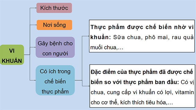 PowerPoint Khoa học 5 Ôn tập chủ đề Vi khuẩn
