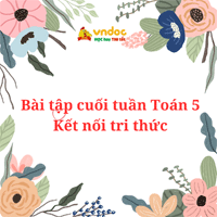 Bài tập cuối tuần Toán lớp 5 Tuần 18 sách Kết nối tri thức