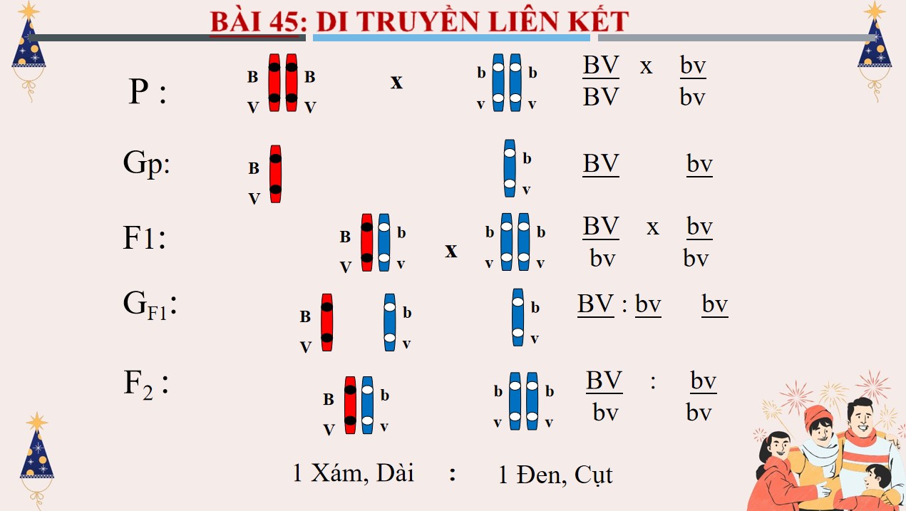 Giáo án Khoa học tự nhiên 9 Bài 45