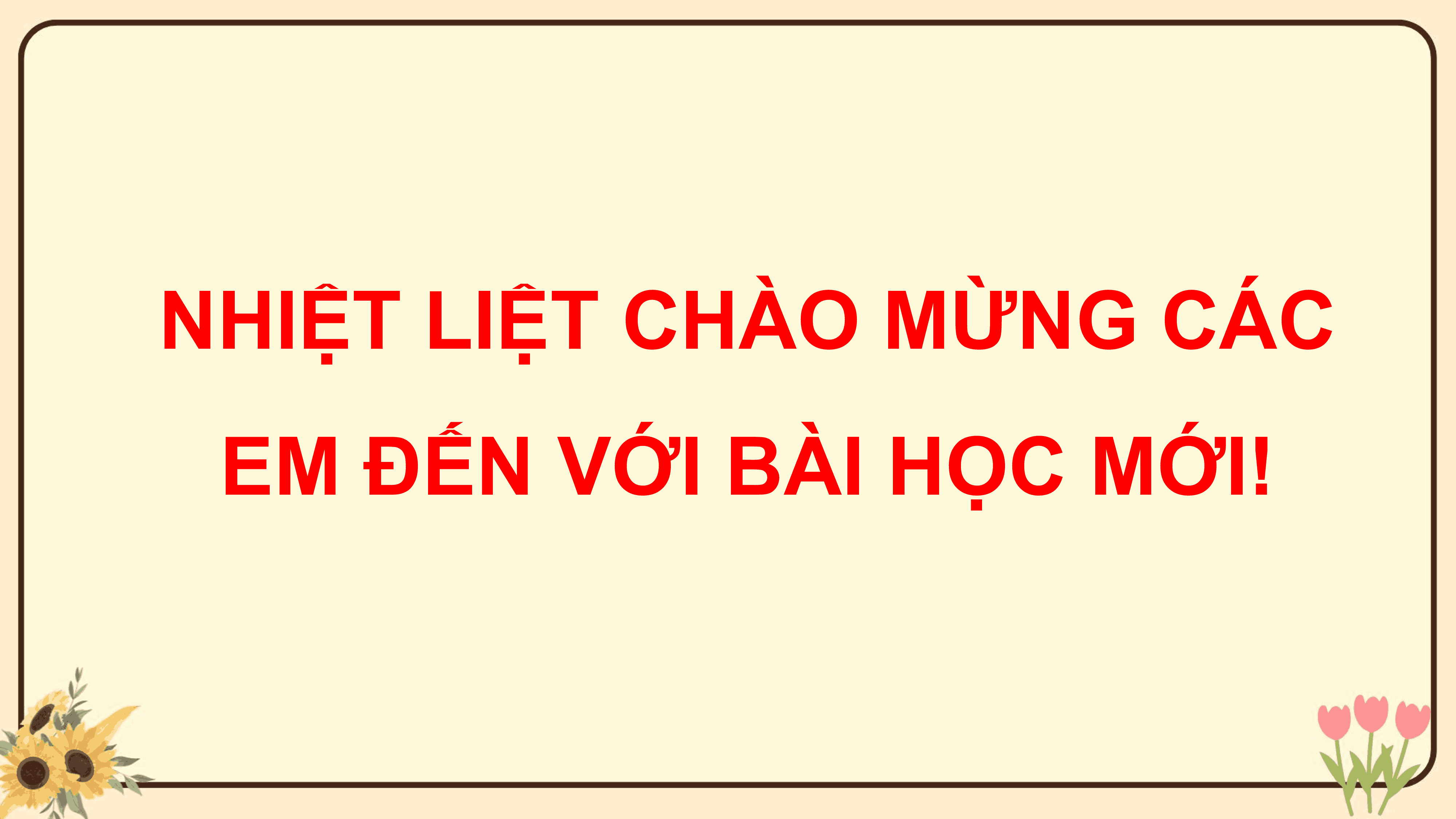 Ôn tập chủ đề Thực vật và động vật